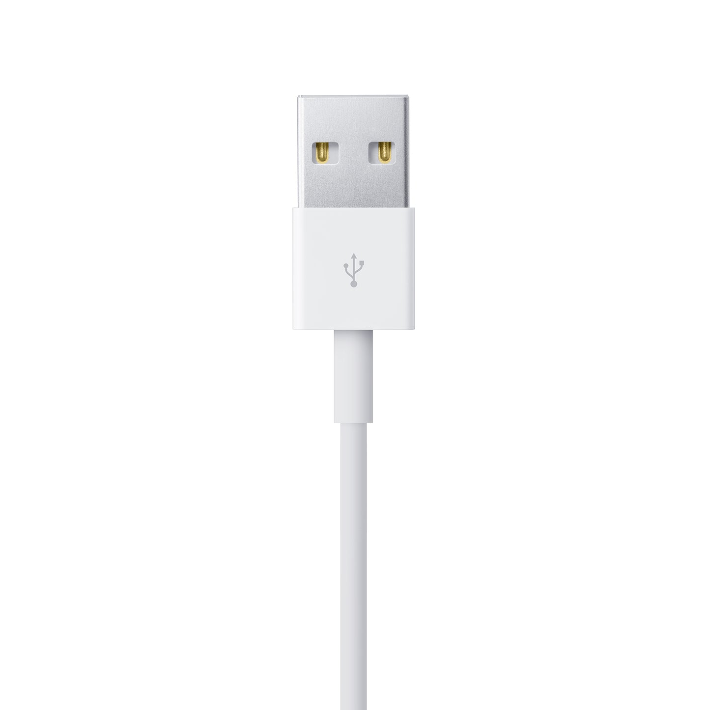 Cable Apple USB a Lightning (1m)