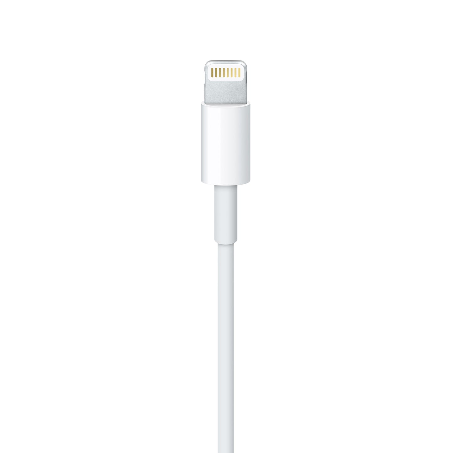 Cable Apple USB a Lightning (1m)